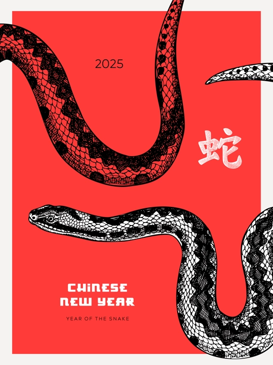 Chinese New Year Poster. Realistic snake sketch. China art print. Hand-drawn vector illustration. NOT AI generated